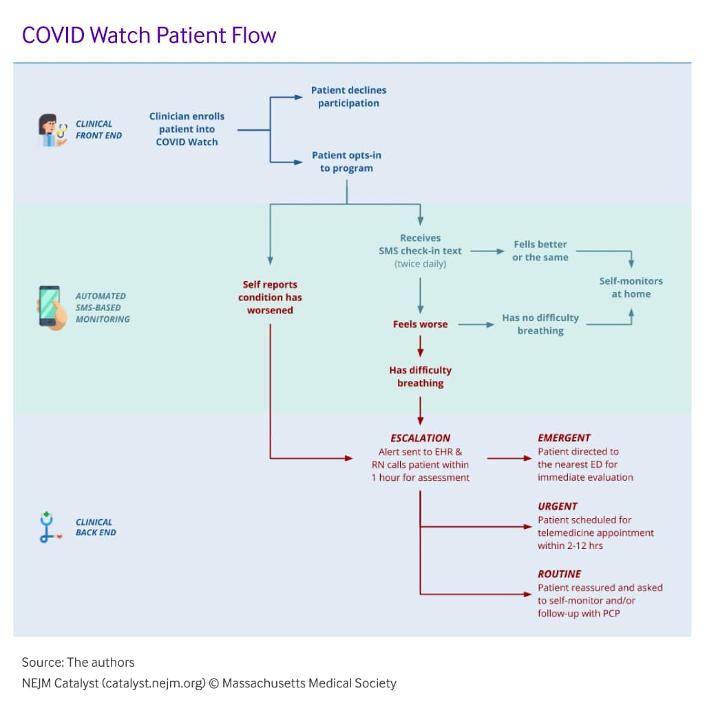 alt COVID Watch Program Logic